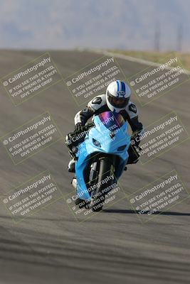 media/Feb-04-2023-SoCal Trackdays (Sat) [[8a776bf2c3]]/Turn 10 Backside (1010am)/